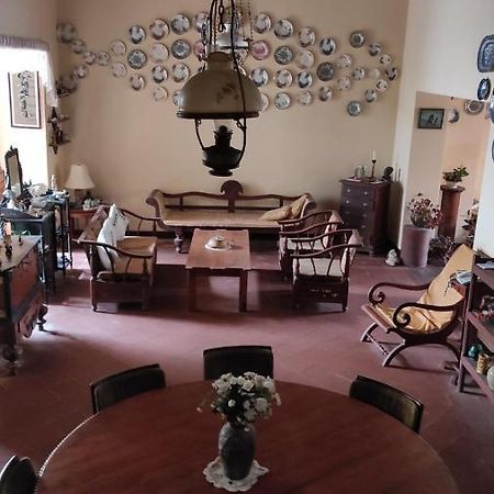 Beatrice House Galle Fort - Homestay Екстериор снимка